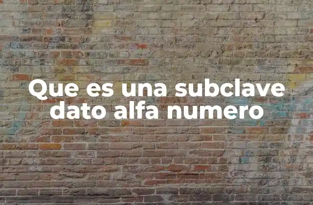 Que es una Subclave Dato Alfa Numero