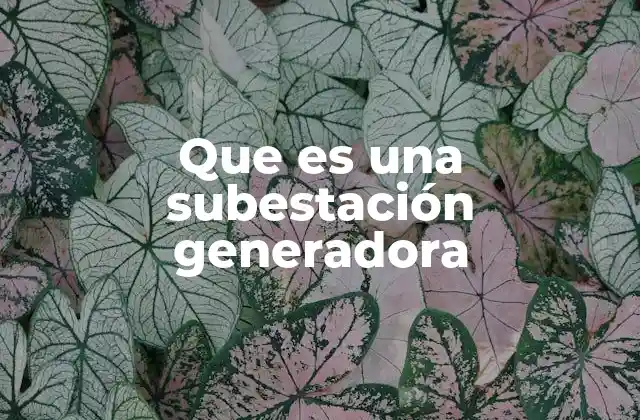 Que es una Subestación Generadora