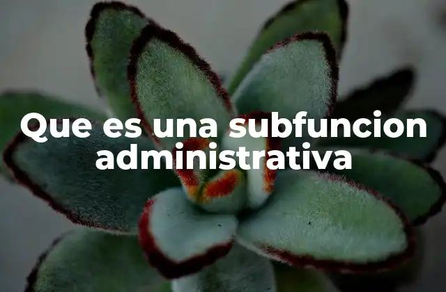 La importancia de las subfunciones en la gestión empresarial