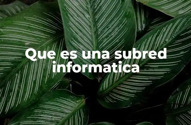 Que es una Subred Informatica