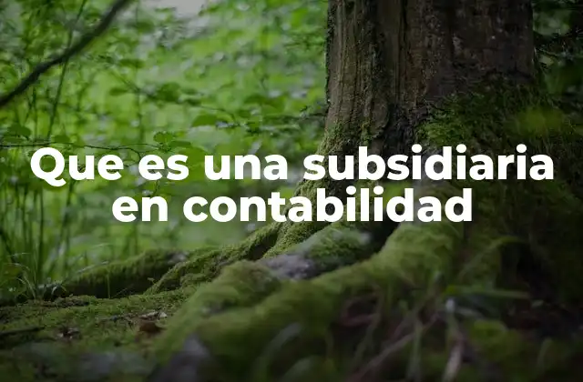 Que es una Subsidiaria en Contabilidad