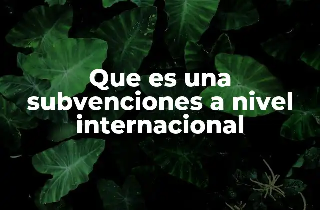 Que es una Subvenciones a Nivel Internacional