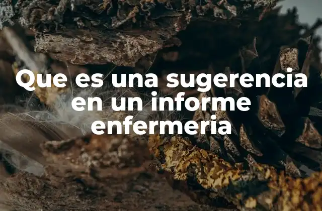 Que es una Sugerencia en un Informe Enfermeria