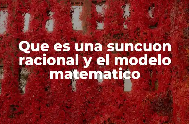 Que es una Suncuon Racional y el Modelo Matematico