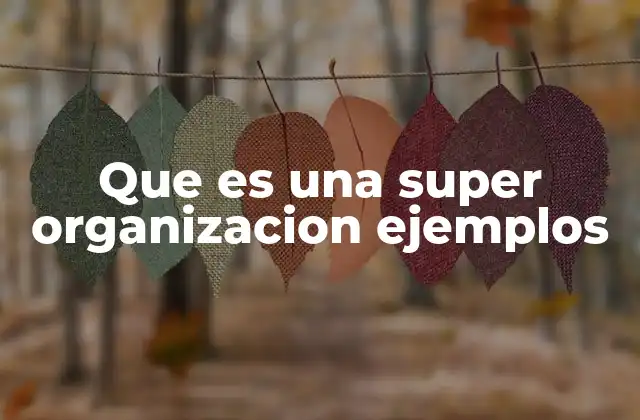 Que es una Super Organizacion Ejemplos