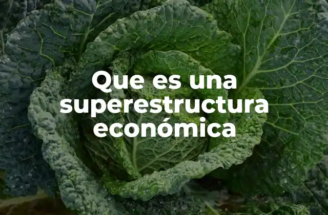 Que es una Superestructura Económica