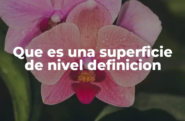 Que es una Superficie de Nivel Definicion