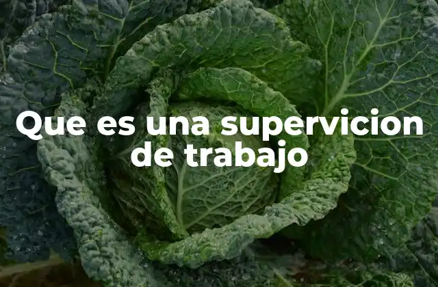 Que es una Supervicion de Trabajo