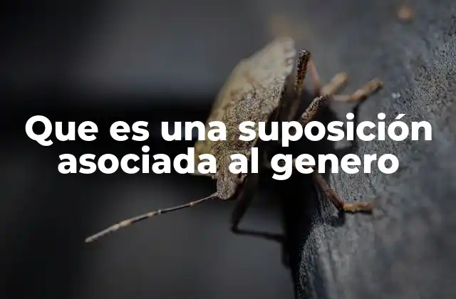 Que es una Suposición Asociada Al Genero