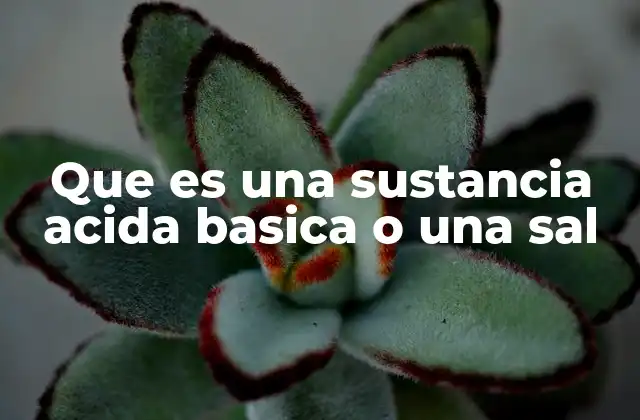 Que es una Sustancia Acida Basica o una Sal
