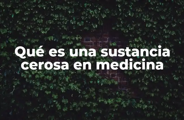 Qué es una Sustancia Cerosa en Medicina