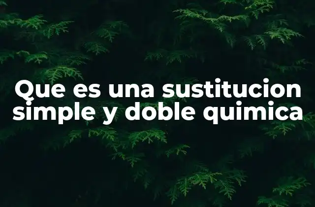 Que es una Sustitucion Simple y Doble Quimica