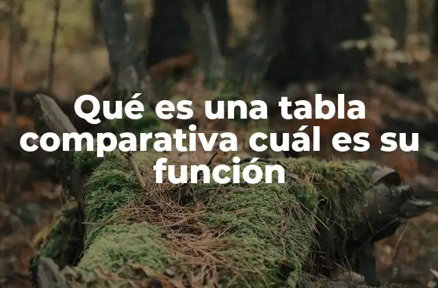 Qué es una Tabla Comparativa Cuál es Su Función