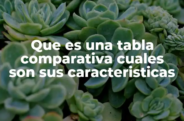 Que es una Tabla Comparativa Cuales Son Sus Caracteristicas 2 La importancia de organizar información mediante tablas comparativas
