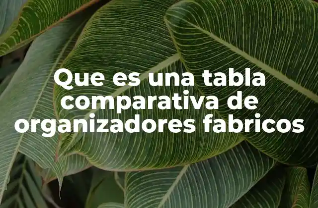 Que es una Tabla Comparativa de Organizadores Fabricos