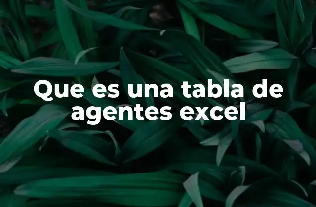 Que es una Tabla de Agentes Excel