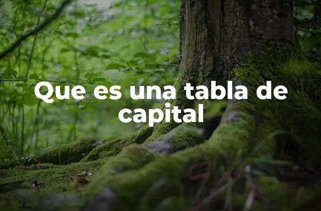 Que es una Tabla de Capital