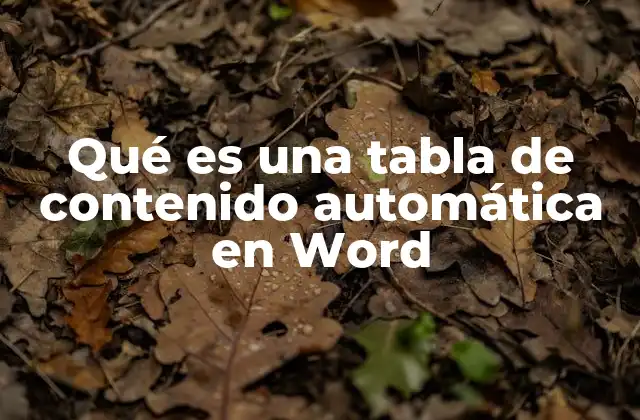Qué es una Tabla de Contenido Automática en Word