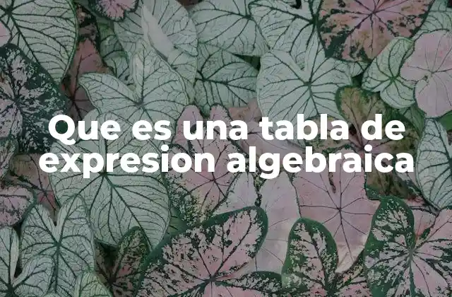Que es una Tabla de Expresion Algebraica