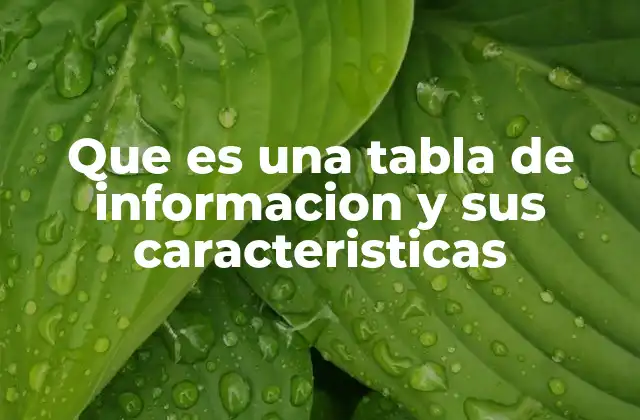 Que es una Tabla de Informacion y Sus Caracteristicas