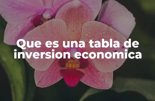 Que es una Tabla de Inversion Economica