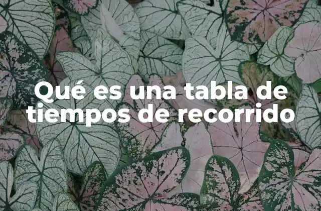 Qué es una Tabla de Tiempos de Recorrido