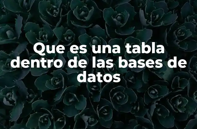 Que es una Tabla Dentro de las Bases de Datos