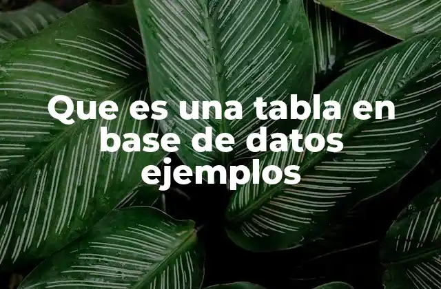 Que es una Tabla en Base de Datos Ejemplos