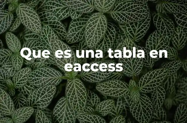 Que es una Tabla en Eaccess