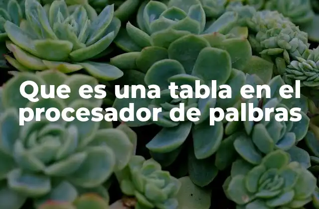 Que es una Tabla en el Procesador de Palbras