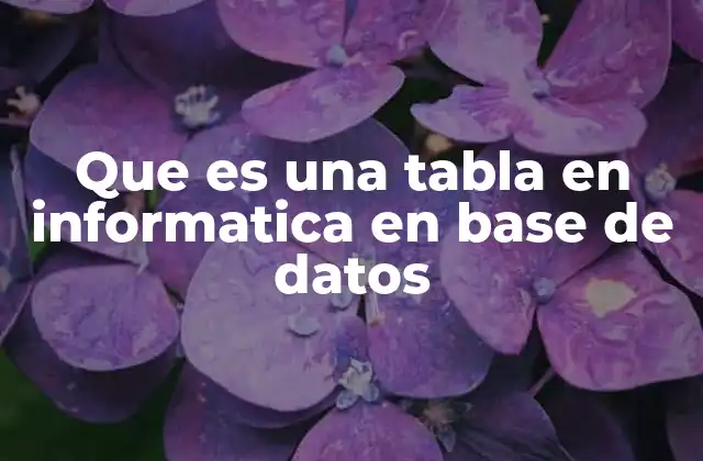 Que es una Tabla en Informatica en Base de Datos