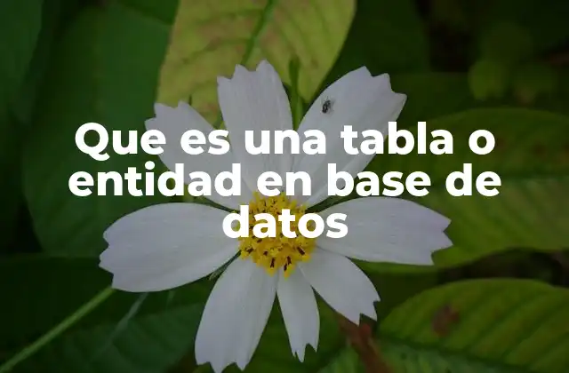 Que es una Tabla o Entidad en Base de Datos