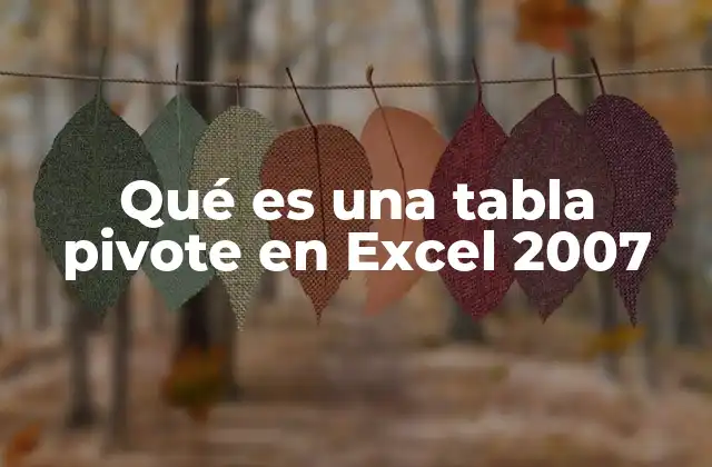 Qué es una Tabla Pivote en Excel 2007