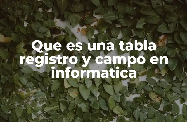 Que es una Tabla Registro y Campo en Informatica