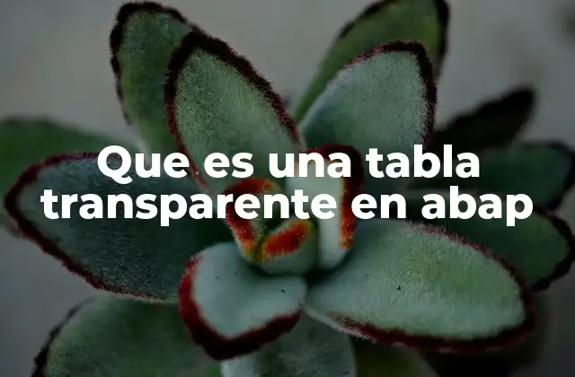 Que es una Tabla Transparente en Abap 2 Las tablas transparentes y la arquitectura de SAP