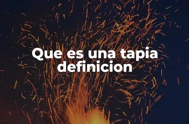 Que es una Tapia Definicion