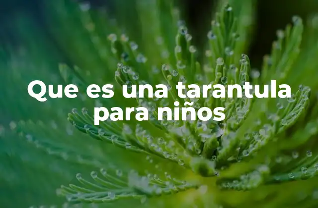 Que es una Tarantula para Niños