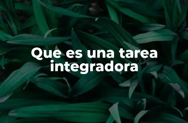 Que es una Tarea Integradora