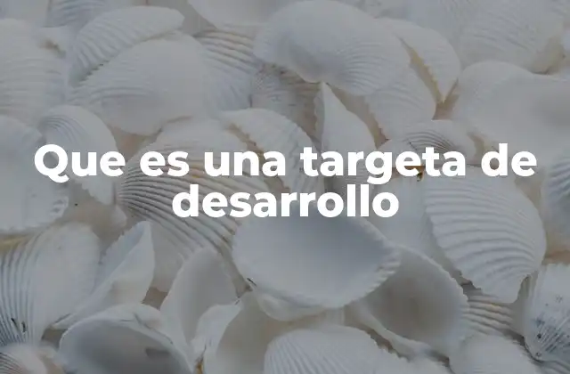 Que es una Targeta de Desarrollo