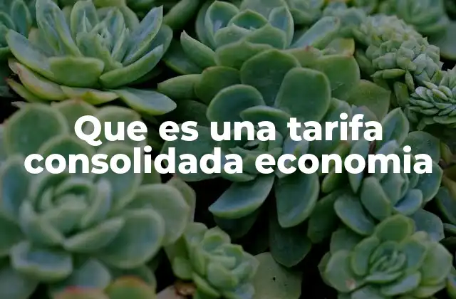 Que es una Tarifa Consolidada Economia