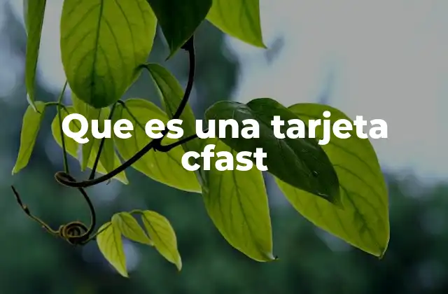 Que es una Tarjeta Cfast
