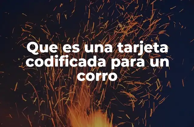 Que es una Tarjeta Codificada para un Corro