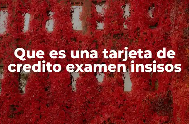 Que es una Tarjeta de Credito Examen Insisos