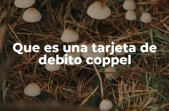 Que es una Tarjeta de Debito Coppel