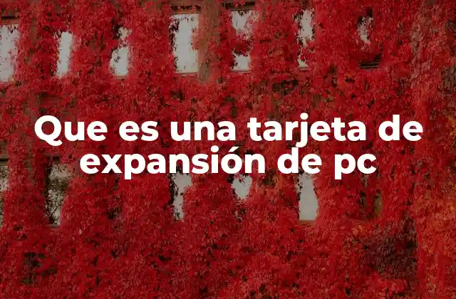 Que es una Tarjeta de Expansión de Pc