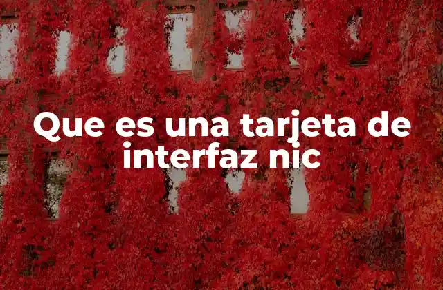 Que es una Tarjeta de Interfaz Nic