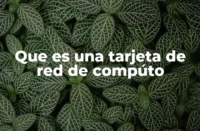 Que es una Tarjeta de Red de Compúto