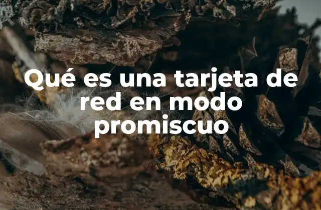 Qué es una Tarjeta de Red en Modo Promiscuo 2 Cómo funciona la recepción de tráfico en modo promiscuo