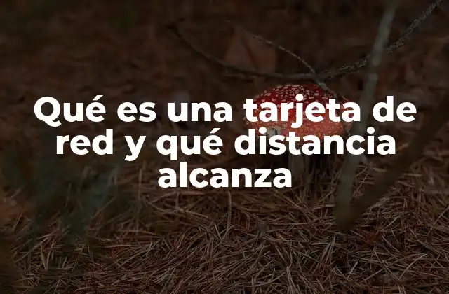Qué es una Tarjeta de Red y Qué Distancia Alcanza