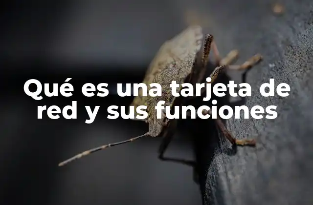 Qué es una Tarjeta de Red y Sus Funciones